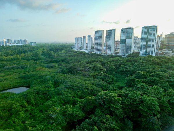 Avis jumelles olympus 10x50 dps : un choix judicieux ?