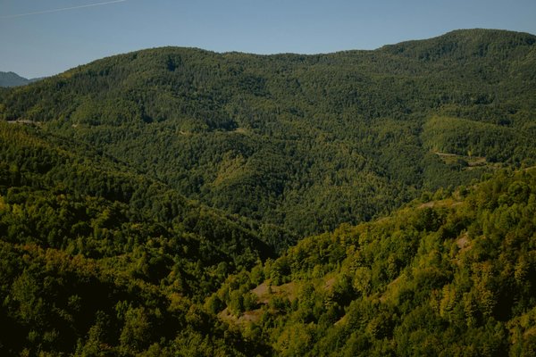 Voyage : explorez des destinations inoubliables et uniques